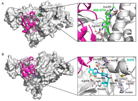 Advances In The Development Ubiquitin Specific Peptidase Usp Inhibitors