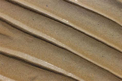 Free Images Beach Sea Nature Sand Ocean Wood Texture Floor