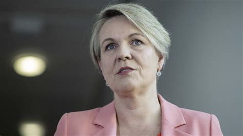 Why Tanya Plibersek Never Challenged Anthony Albanese Labor Leadership