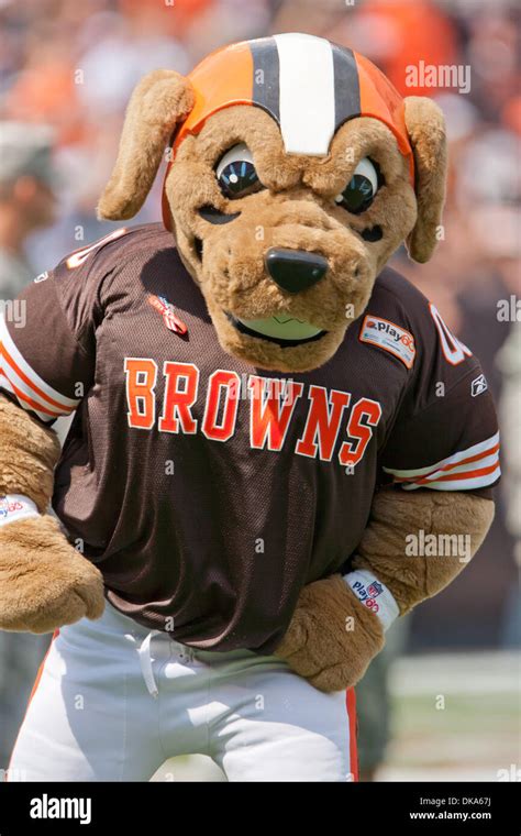 Sept. 11, 2011 - Cleveland, Ohio, U.S - Cleveland Browns mascot Chomps ...