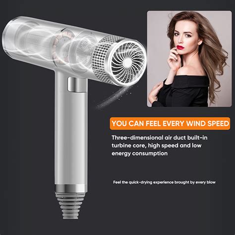 Professional 700W Anion Hair Dryer Negative Ion Quick Dry Home Powerful Electric Hair Dryer ...