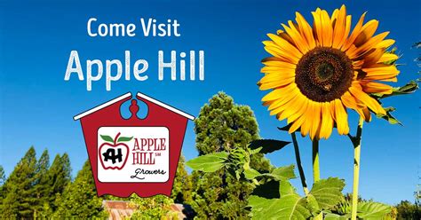 Hotels In Placerville Ca Apple Hill Freddy Lowell