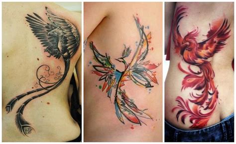 Tatuaje Del Ave Fenix Para Mujer Pequeno