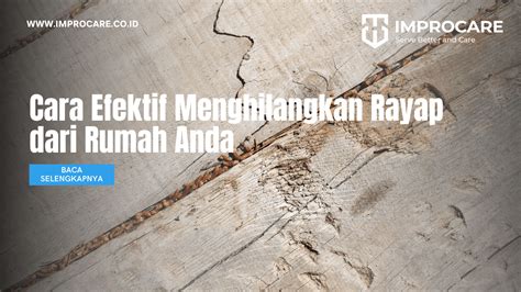 Cara Efektif Menghilangkan Rayap Dari Rumah Anda PT Mahaka Improcare