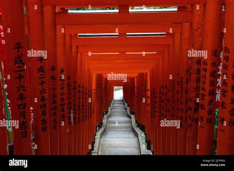 A Vivid Tunnel Of Red Torii Gates Line The Stone Stairs Leading To The