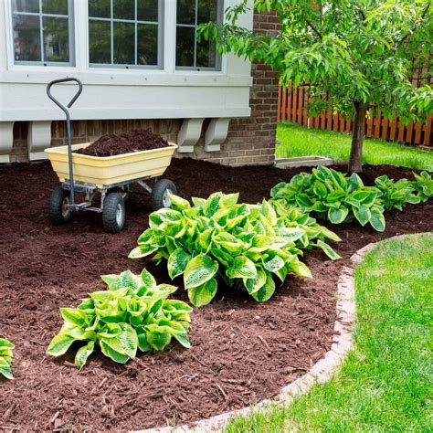 Cheap Curb Appeal Landscaping Ideas | Family Handyman