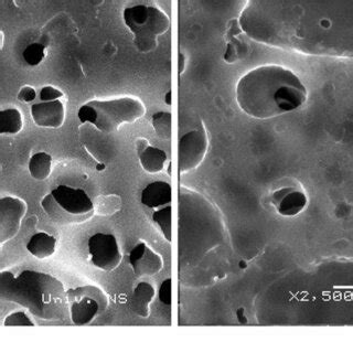 Sem Micrographs Of The Top Surface A B And Cross Section B C