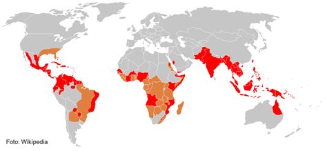 Mapamundi Con Los Países Afectados Por El Dengue En Rojo Y Las