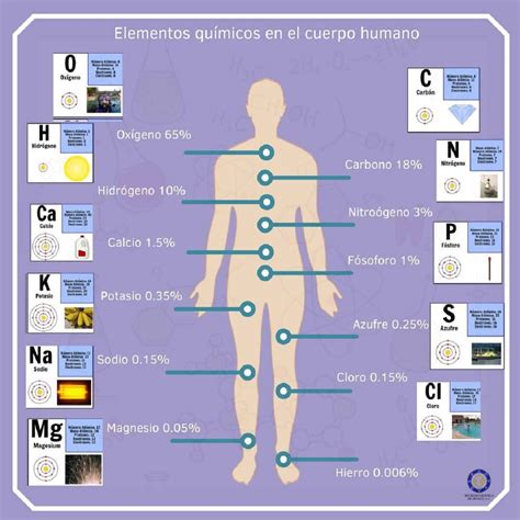 Conoce la importancia vital de los elementos químicos en el cuerpo humano