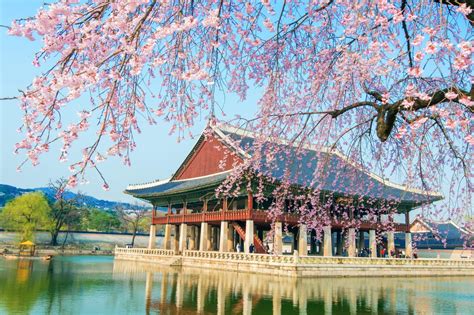 Qué visitar en Corea del Sur - Viajeros Ocultos