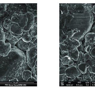 Morphological Changes Of The Electrodes In Different Electrolyte Groups