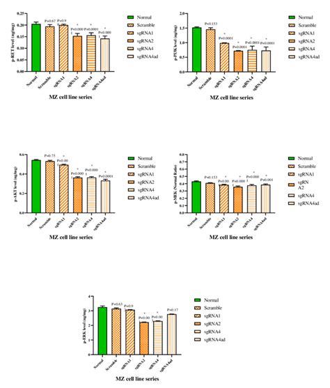 Phosphorylated Proteins Ret Pi K Akt Mek Erk In Mz Crc Cell Line