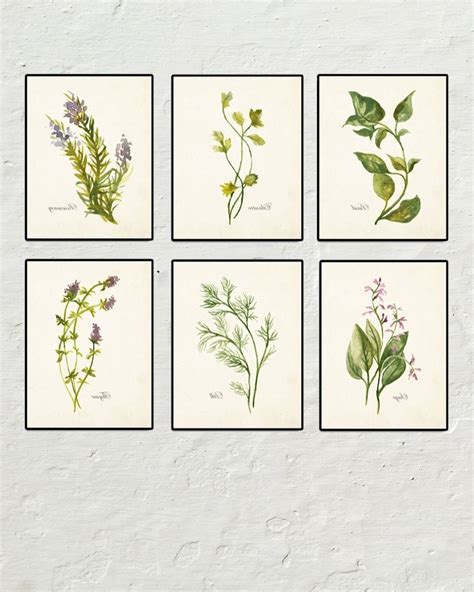 15 Best Collection of Framed Botanical Art Prints