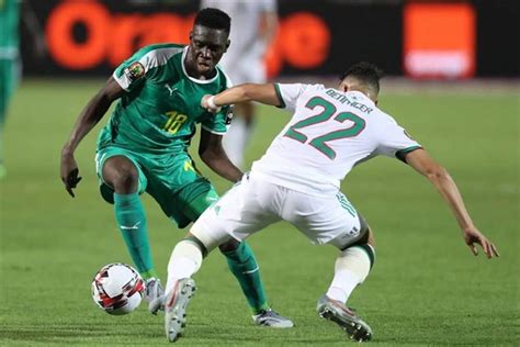 Can 2019 L`algérie Remporte La Finale Face Au Sénégal Aniamey Photos