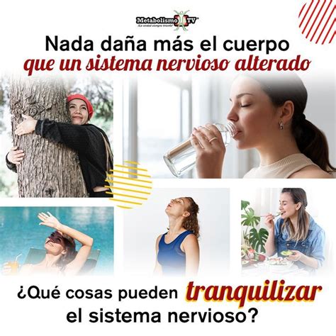 Hay Que Controlar El Sistema Nervioso Del Cuerpo Para Restaurar El