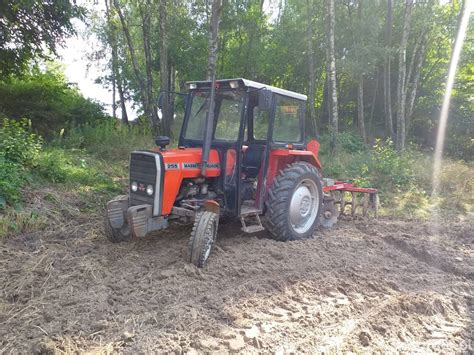 Foto ciągnik MF255 id 760938 Galeria rolnicza agrofoto