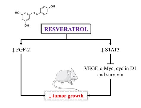 Scielo Brasil Resveratrol Effects In Bladder Cancer A Mini Review