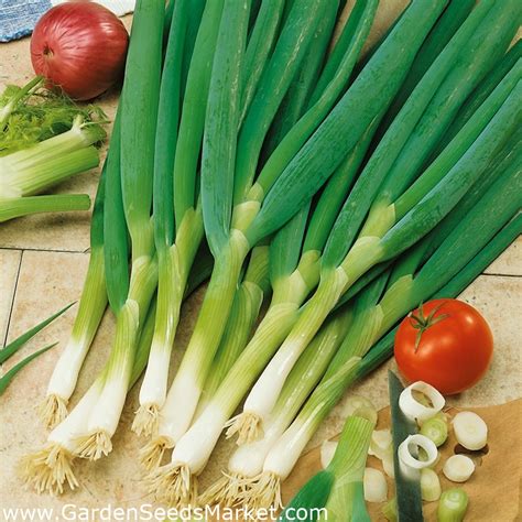 Winter Onion And Leek Seeds Selection Of Varieties Garden Seeds