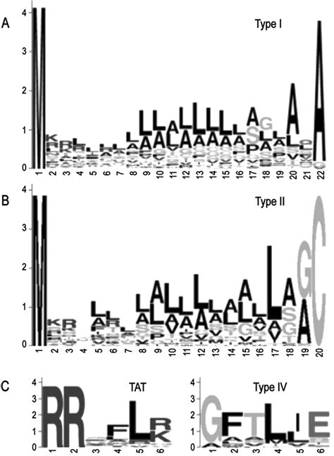 Genome Wide Identification Of Pseudomonas Aeruginosa Exported Proteins