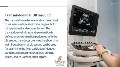 What Are The Kinds Of Pelvic Ultrasonography Ppt