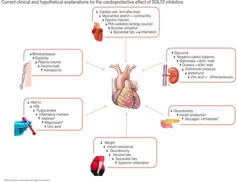 Extraglycemic Effects Of SGLT2 Inhibitors: A Review Of The, 50% OFF