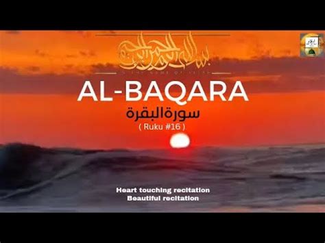 Beautiful Heart Touching Recitation Of Surah Al Baqara Ruku