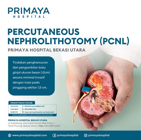 Herniotomy Tindakan Bedah Untuk Mengatasi Hernia Primaya Hospital