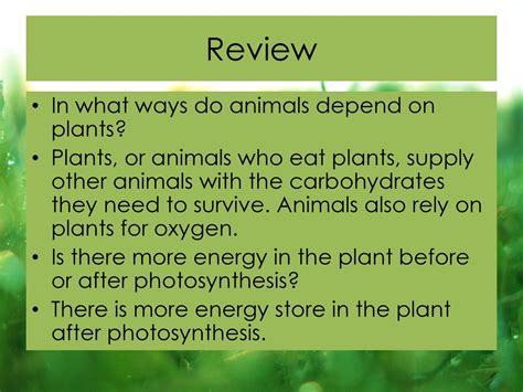 Chapter 1 Lesson 3 Photosynthesis Ppt Download