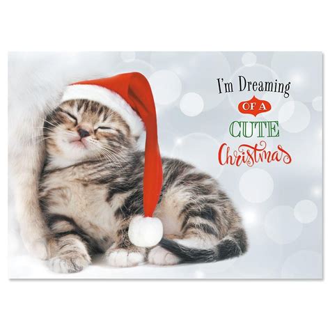 Christmas Kitten Christmas Cards Current Catalog Christmas Kitten