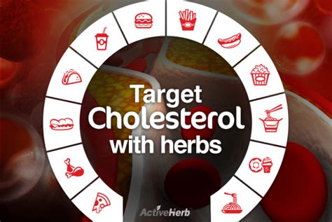 Support Cholesterol With Tcm The Blog