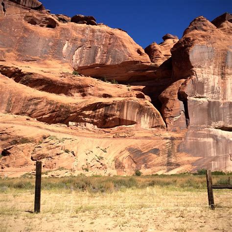 Ancient Canyon Tours Private Tour Chinle 2023 Qué Saber Antes De