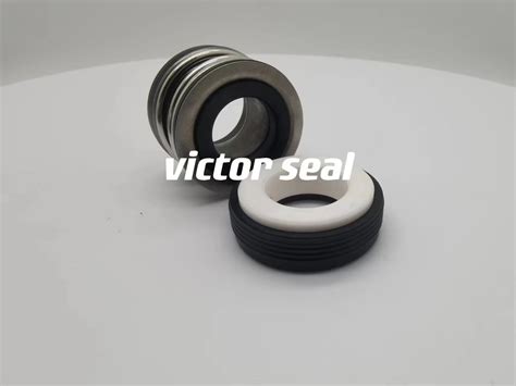 Single Spring Mechanical Seal Type Elastomer Bellow China Pump