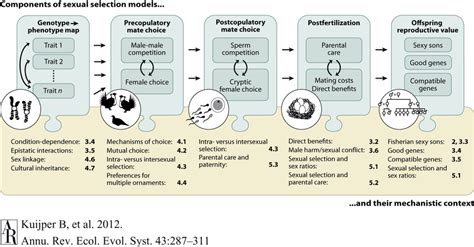 A Global Overview Of The Main Components Of Sexual Selection Theory