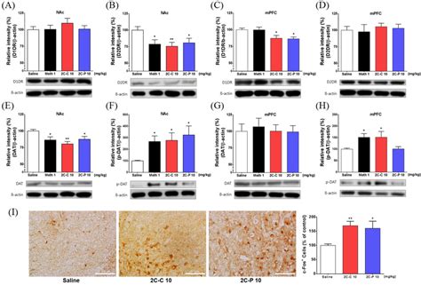 Ah Effects Of C C And C P On Dopaminergic Signaling Proteins In The