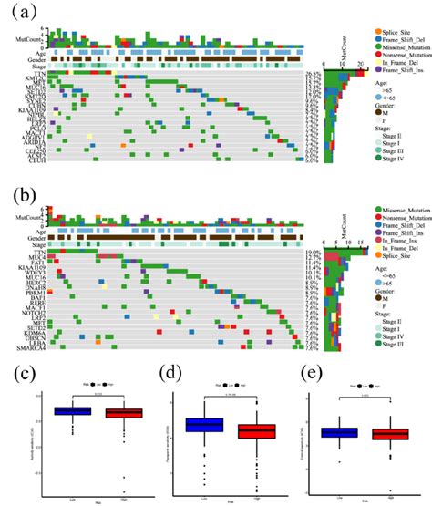 A A Waterfall Plot Of Mutation Profiles In The High Risk Group B