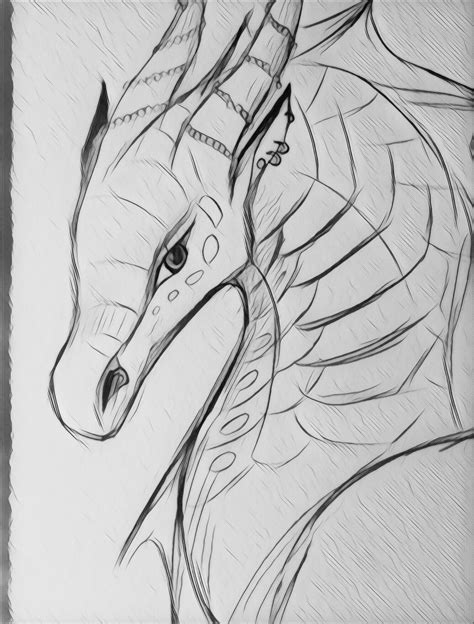 SeaWing Dragon Sketch Wings Of Fire Dragons Dragon Art