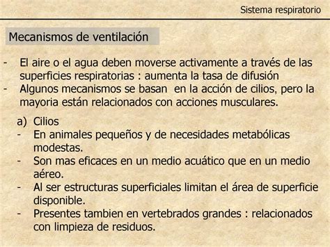 Sistema Respiratorio Biologia Discovery Ppt Descargar