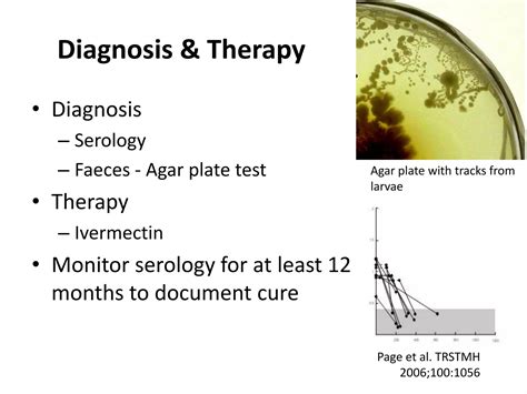 Don T Neglect The Ntds Ppt