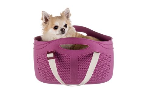 Borsa Mia Pet Per Cani Xs Mondopratico It