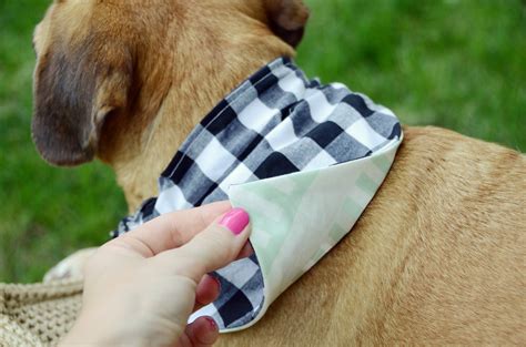 Easy DIY Reversible Dog Bandana Sewing Pattern | Design Fixation