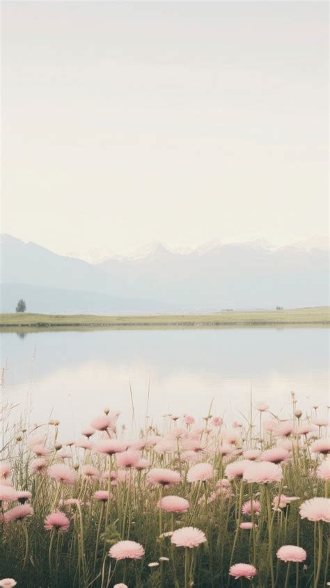 Pastel Green Aesthetic Wallpaper Images | Free Photos, PNG Stickers ...