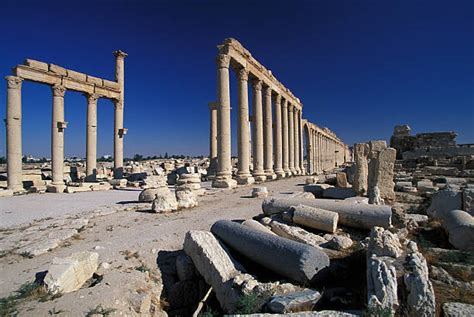 180+ Palmyrene Empire Stock Photos, Pictures & Royalty-Free Images - iStock