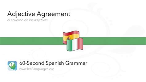 60 Second Spanish Grammar Adjective Agreement Via The Leaf Project