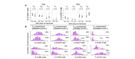 Frequencies And Distributions Of Memory T Cell Subsets A Frequencies Download Scientific