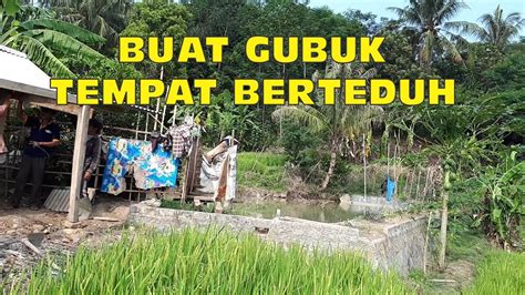 Buat Gubuk Tempat Berteduh Disawah Youtube