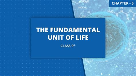 The Fundamental Unit Of Life Single Shot Class Science Ncert