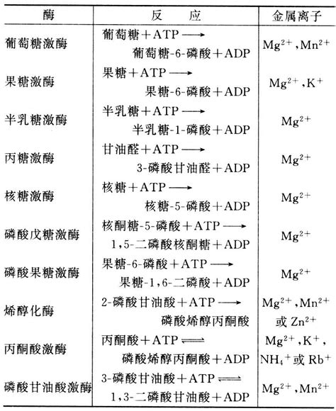 镁生理功能 智汇三农