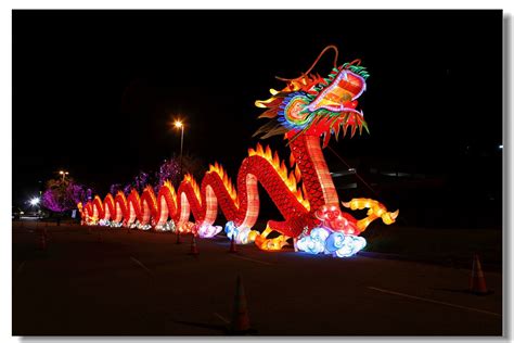 Chinese dragon lantern | Dragon lanterns for sale