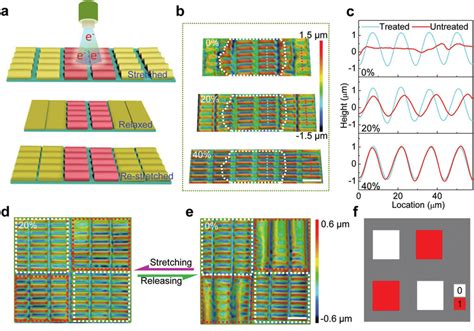 Pattern Immobilization And The Stretchable Property A Schematic