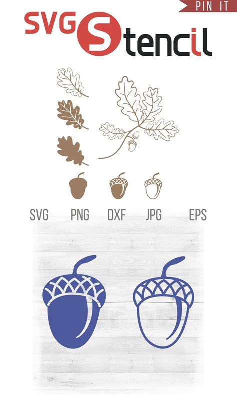 Oak Leaf Svg Acorn Svg Autumn Leaf Svg Fall Leaf Svg Foliage Svg